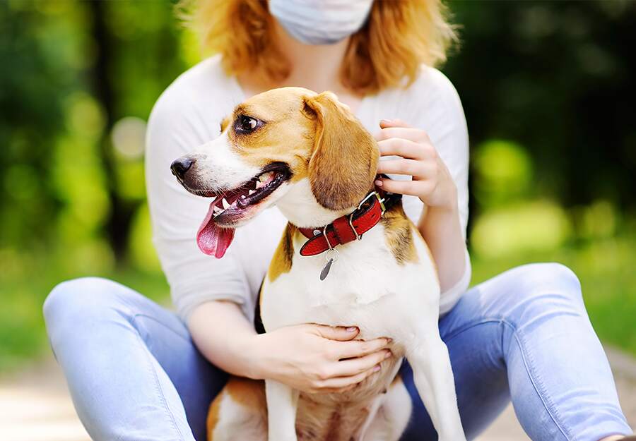 Social Distancing With Your Dog How To Keep Your Dog